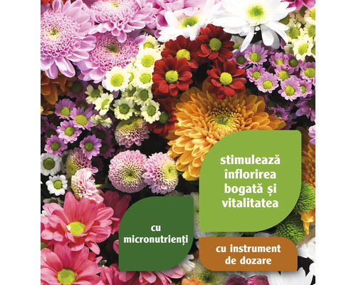 Aranjament floral cu informații despre micronutrienți și instrument de dozare