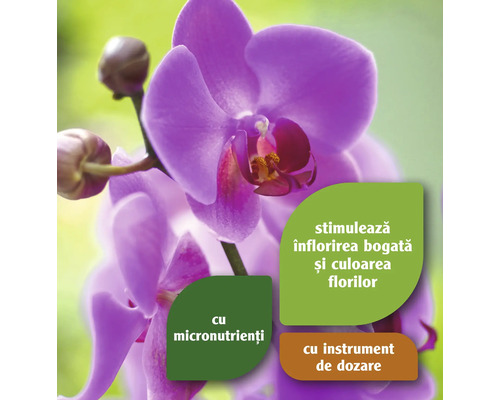 Orhidee înflorită cu mențiunea stimulează înflorirea bogată și culoarea florilor, precum și cu microelemente și instrument de dozare.