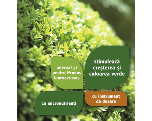 Informații despre potrivit pentru Prunus laurocerasus, stimulează creșterea și culoarea verde, cu micronutrienți și cu instrument de dozare