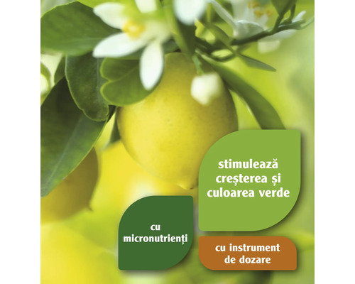 Lămâi cu flori și informații despre micronutrienți și instrument de dozare
