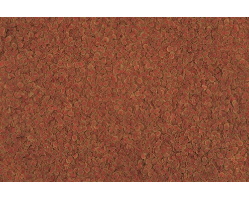 Prim-plan cu fulgi de hrană pentru pești