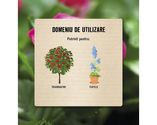 Domeniu de utilizare pentru trandafiri și tufe