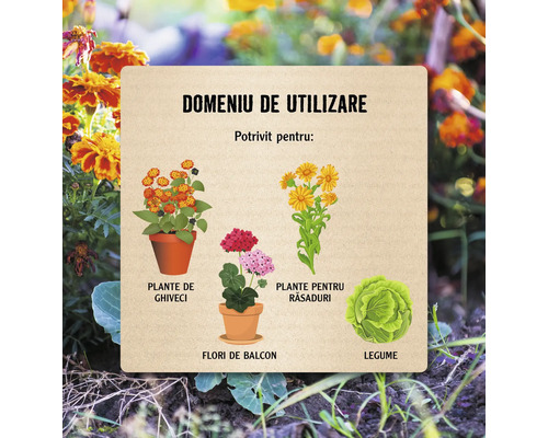 Domeniu de utilizare cu ilustrații de plante de ghiveci, flori de balcon, răsaduri și legume