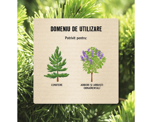 Domeniu de utilizare pentru conifere, arbori ornamentali și arbuști
