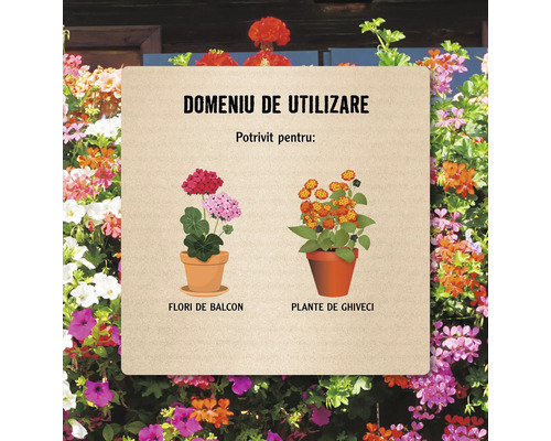 Domeniu de utilizare: Potrivit pentru flori de balcon și plante de ghiveci.
