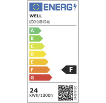 Etichetă energetică WELL LEDCN-2438-CS-WL cu clasa de eficiență energetică F și un consum de 24 kWh la 1000 de ore