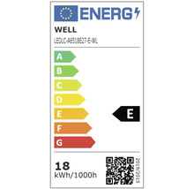 Etichetă de eficiență energetică a becului WELL LEDLC-A6518E27-E-WL cu clasa de eficiență energetică E