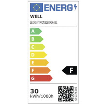 Proiector LED exterior Well Slim 30W 3000 lumeni IP65, senzor de mișcare, lumină rece