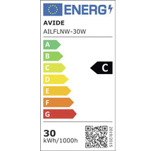 Proiector LED Avide 30W 4800 lumeni IP65 clasa C, lumină neutră