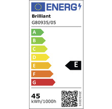 Etichetă energetică UE pentru Brilliant G80935/05, clasa de eficiență energetică E, consum 45 kilowați-oră la 1000 de ore.