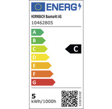 Bec LED cu senzor crepuscular Flair E27 5W 806 lumeni, glob clar A60, lumină caldă