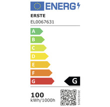 Etichetă energetică cu clasa de eficiență energetică G, consum de energie de 100 kWh la 1000 de ore și logo-ul companiei Erste.