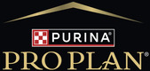 Pro Plan