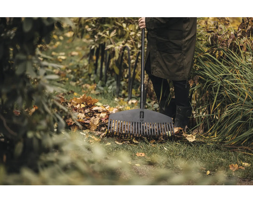 Persoană cu greblă de frunze în grădină, frunze de toamnă