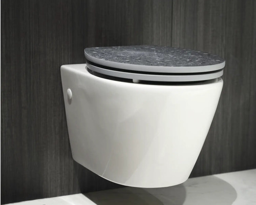 WC suspendat cu scaun gri