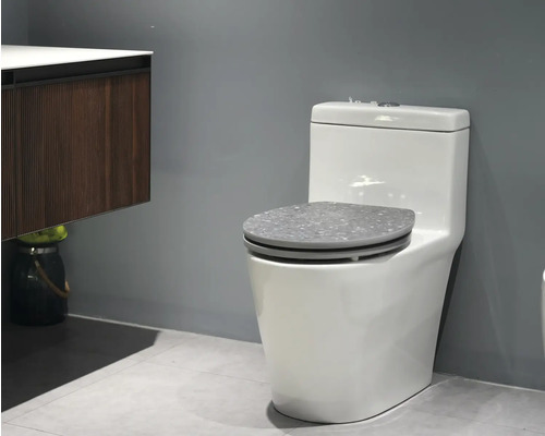 Toaletă albă de podea cu capac în baie