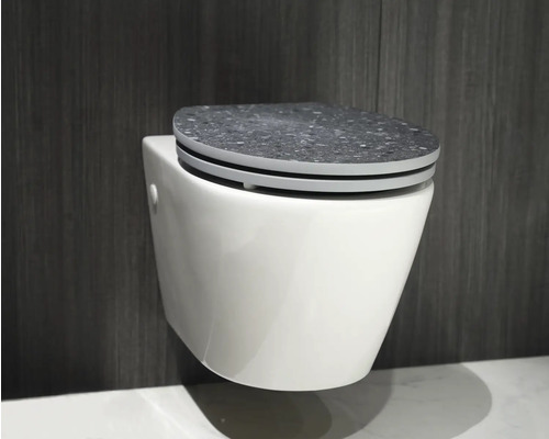 WC suspendat cu capac WC