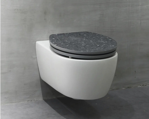 Vas WC suspendat cu capac de WC