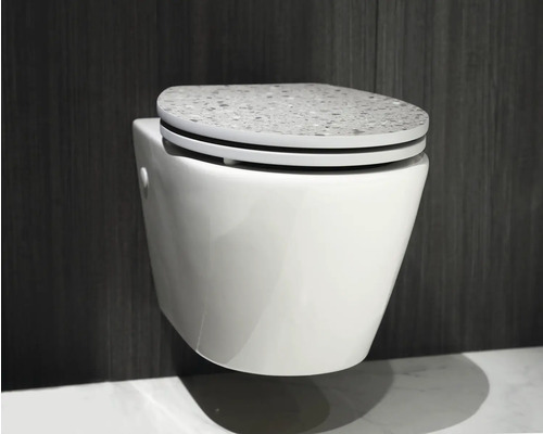 WC suspendat cu capac de toaletă