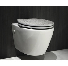 WC suspendat cu scaun de toaletă