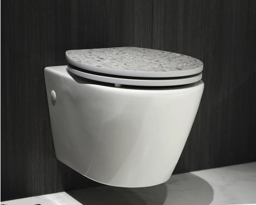 WC suspendat cu scaun de toaletă