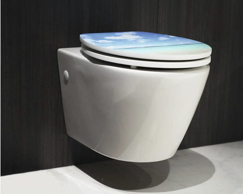 Vas WC suspendat cu spălare verticală, cu capac WC cu motiv cu nori