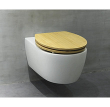 WC suspendat cu scaun din lemn