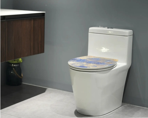 Toaletă albă cu vas de WC în baie