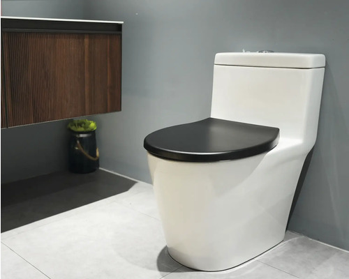 Toaletă ceramică cu rezervor și capac de toaletă