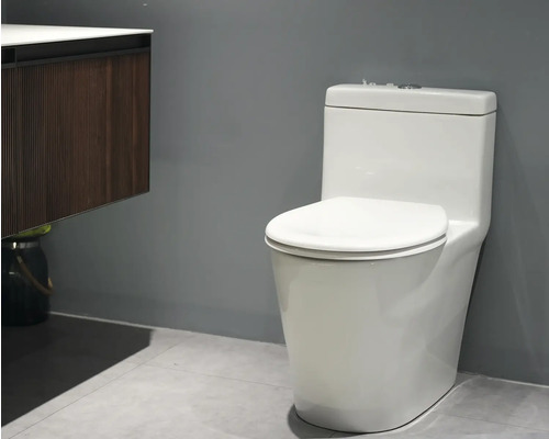 Toaletă cu rezervor într-o baie.