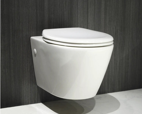 Toaletă suspendată cu capac WC închis