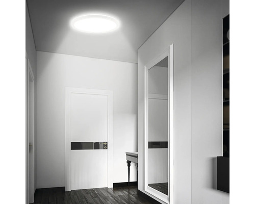 Hol cu lampă de tavan, ușă și oglindă