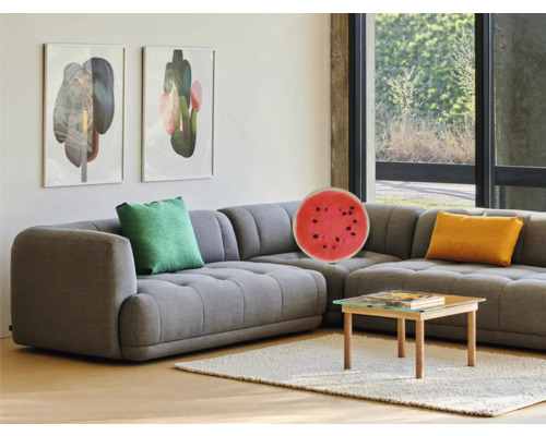 Cameră de zi cu canapea de colț gri, perne, măsuță de cafea și picturi murale