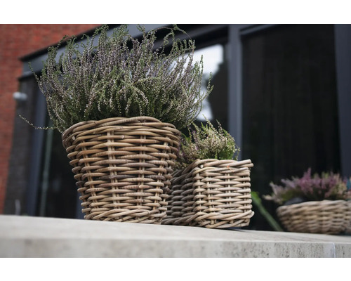 Două coșuri împletite pentru plante cu heather pe un pervaz.