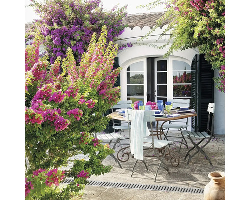 Masa de grădină aranjată cu scaune pe o terasă cu flori