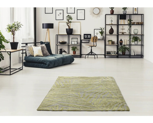 Living cu covor cu model, canapea extensibilă și rafturi