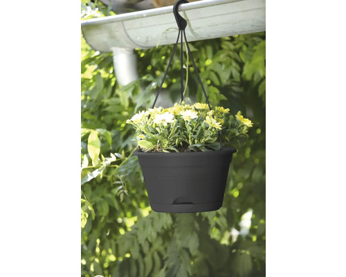 Coș suspendat cu flori galbene, atașat de o jgheab