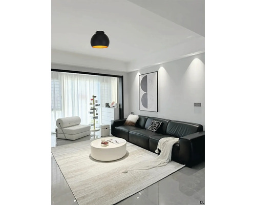 Living cu canapea, covor, măsuță de cafea și plafonieră