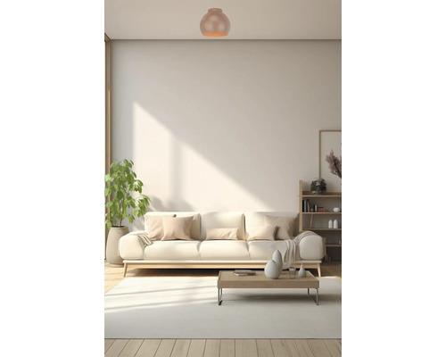 Cameră de zi cu plafonieră, canapea, masă și raft