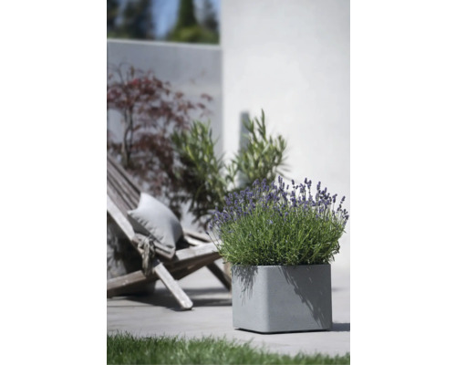 Jardinieră pătrată cu lavandă pe o terasă cu șezlong din lemn