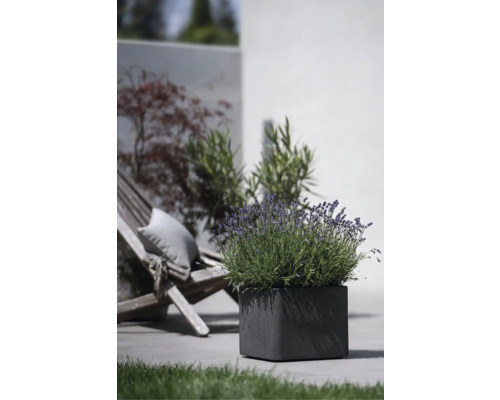 Jardinieră pătrată cu lavandă afară cu scaun de grădină