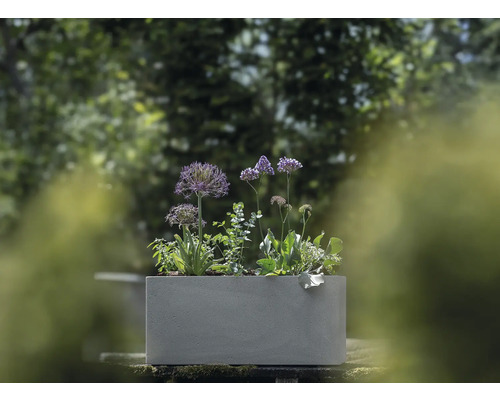 Jardinieră dreptunghiulară din beton cu diverse plante în grădină.