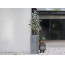 Ghiveci de beton cu plantă la exterior