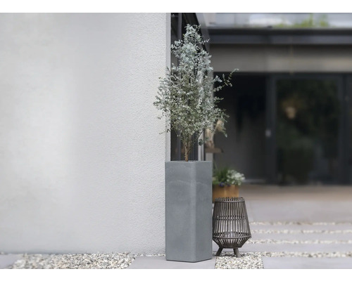 Ghiveci de beton cu plantă la exterior