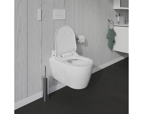 Scenă a unei băi cu un vas de toaletă cu duș suspendat, o telecomandă, o placă de acționare, un suport pentru hârtie igienică, o perie de toaletă și o chiuvetă