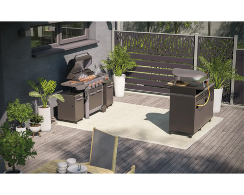 Spațiu exterior cu grătar, cuptor de pizza, plante și paravan