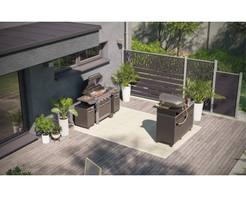 Spațiu exterior cu grătar, cuptor de pizza și paravan de intimitate pe o terasă din lemn