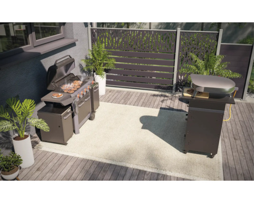 Spațiu exterior cu grătar, cuptor de pizza și paravan decorativ pentru intimitate