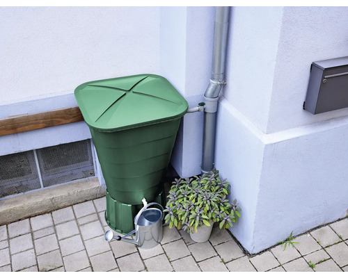 Butoi pentru apă de ploaie lângă țeavă de scurgere cu stropitoare și plantă la ghiveci