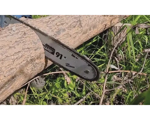 Drujba taie un trunchi de copac în iarbă